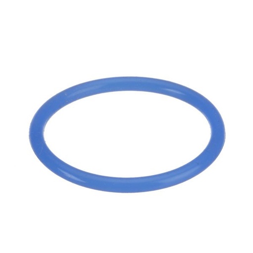 [82323] O-ring 1 5/16" Server